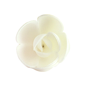 Vaffelblomst Rose Hvid - 72stk