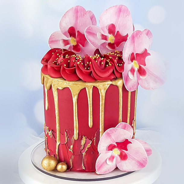 Vaffelblomst Orkide Pink - 10stk