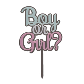 Cake Topper Boy or Girl - S�lv