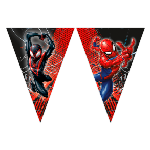 Banner Spiderman World of Web - 9flag