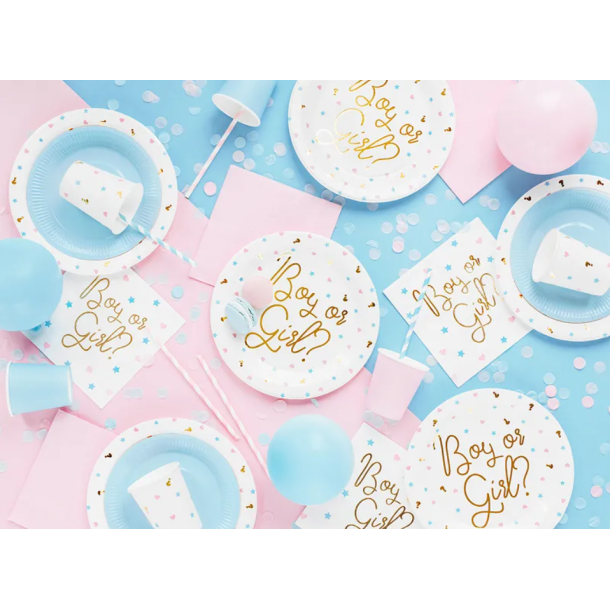 Krus Boy or Girl 200ml - 6stk