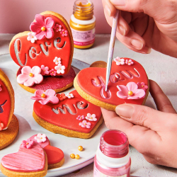 FunCakes Food Paint Kobber - 30g