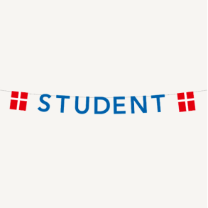 Guirlande Student Bl - 4M