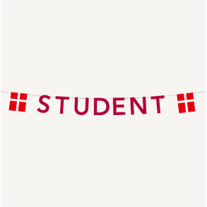 Guirlande Student Rd - 4M