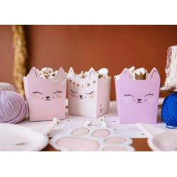 Snack Boks Kat - 3stk