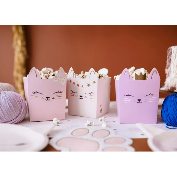 Snack Boks Kat - 3stk