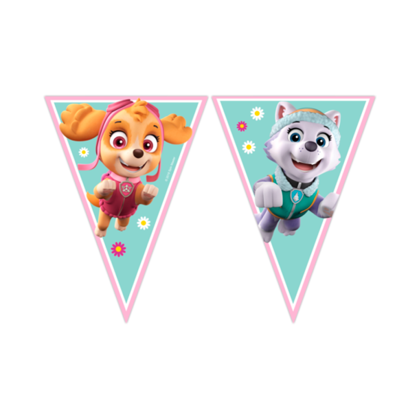 Banner Paw Patrol Skye - 9flag